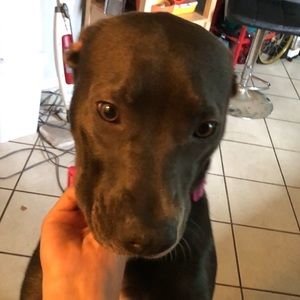 Meet your Posher, Mariel